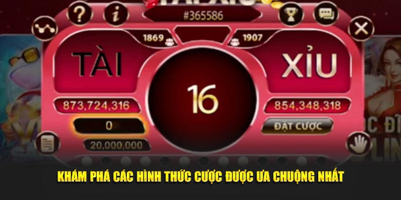 Khám phá các hình thức cược được ưa chuộng nhất